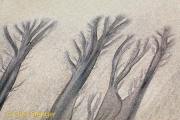 Zand - Sand