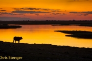 Zonsondergang - Sunset