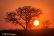 Zonsopkomst - Sunrise