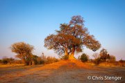 Landschap Mudumu - Landscape Mudumu