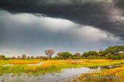 Rain is coming