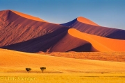 Namib woestijn - Namib desert
