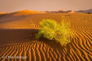 Namib woestijn - Namib desert