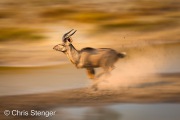 Running Kudu