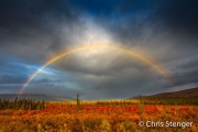 Regenboog - Rainbow