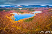 Taiga in herfstkleuren - Taiga in autumn colours