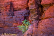 Steep Cliffs in a slotcanyon, Karijini National Park