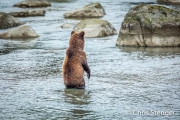 Waar is mijn moeder? - Where is my mother? Waar is mijn moeder? - Where is my mother?