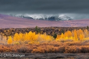 Herfst landschap-Autumn landscape