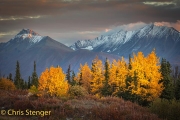 Herfst-Autumn