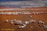 Sneeuw penitentes - Snow penitentes