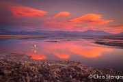 Zoutvlakte; Saltflat