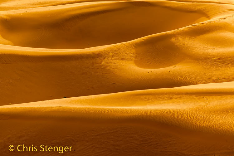 Woestijn - Desert