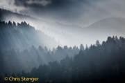 Mist - Fog