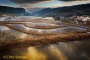Rijstvelden - Rice fields