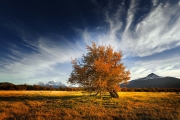 Herfstkleuren - Autumn colours, Chile