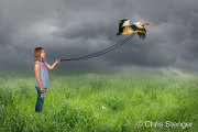 Het uitlaten van de vogels - Walking the birds