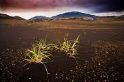 Lava field , Central Highlands Lava field , Central Highlands