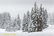Dolomieten - Dolomites