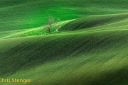 Toscane - Tuscany