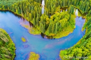 Taiga