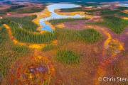 Taiga