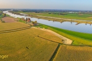 Uiterwaard-Floodplain