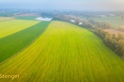 Uiterwaard-Floodplain