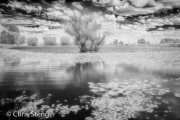 Meer - Lake