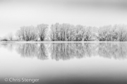 Winter landschap - Winter landscape