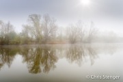 Mist; Fog