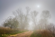 Mistig landschap - Foggy landscape