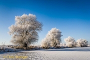 Winter landschap - Winter landscape