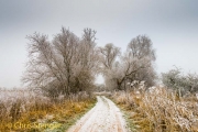 Winter landschap - Winter landscape