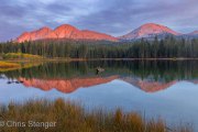 Lassen-Volcanic-National-Park-USA-24-8798-1000px