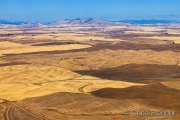 The Palouse in autumn colors, Washington