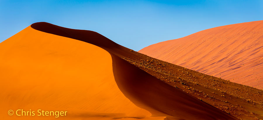 Woestijn-Desert
