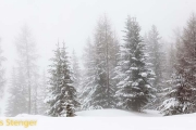 Verse sneeuw-Fresh snow