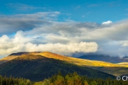Brooks range
