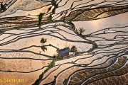Rijstvelden-Rice fields