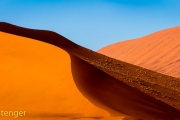 Woestijn-Desert