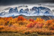 Herfst in Torres de Paine - Autumn in Torres del Paine