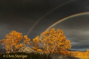 Rainbow over the Hardanger vidda in autumn colors, southern Norway