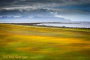 Spring at the Lofoten