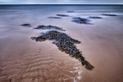 Beach with seaweed near Kildonan at the southcoast of the Isle of Arran