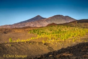 Tenerife Tenerife