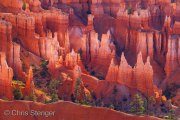Bryce Canyon, Utah