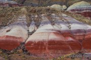 Colorful Bentonite Clay Hills in Capitol Reef National Park, Utah