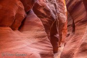 Wire Pass Canyon, Utah