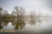 Mistig landschap, Huissen